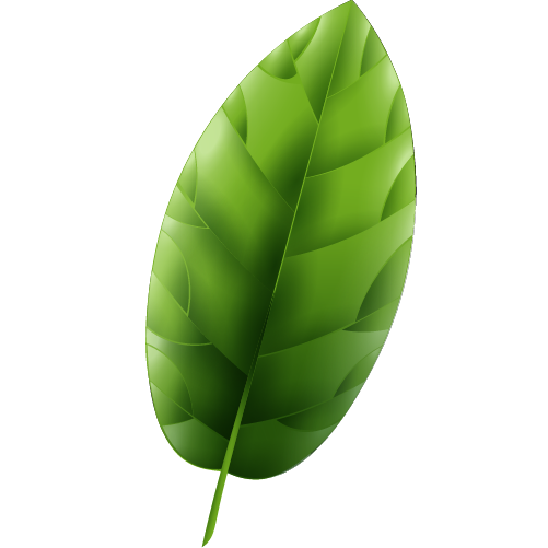 join leaf